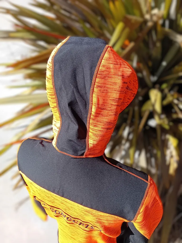 Capuche veste.webp