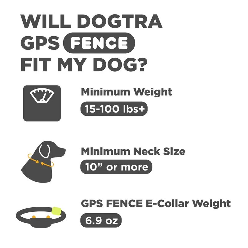 DGF_FIT_GUIDE.webp
