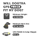 DGF_FIT_GUIDE.webp