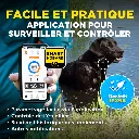 2_9cfbdc2a-b73a-45c4-8ccf-ebb5d78d33d5.webp