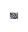 scrofix-seau-de-20-kg (1).webp
