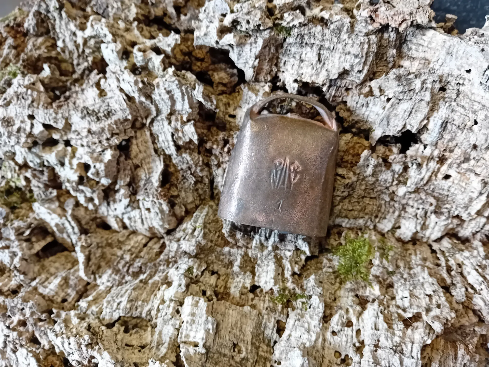 Sonnaille Overejas ou Petite Série A