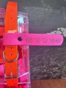 Drapeau Collier Rose avec Gravure