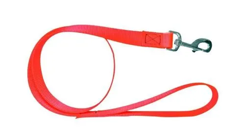 Laisse plate nylon 120cm