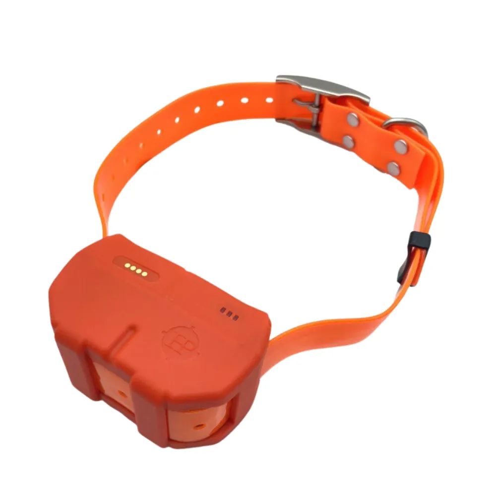 Collier GPS DOGZE 4G HUNTPOWER