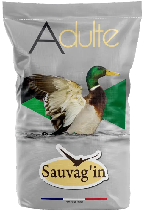 SAUVAG'IN Entretien