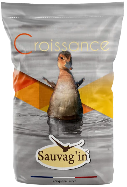 SAUVAG'IN CROISSANCE